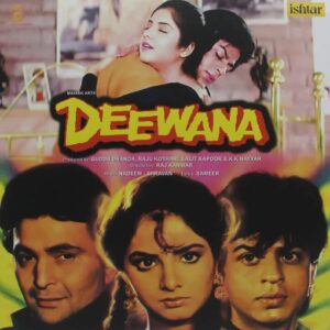 Deewana 1992 Hindi Film Vinyl Record Cover