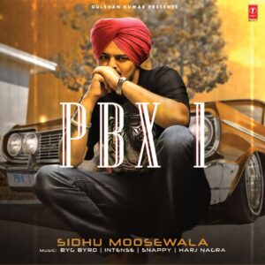 Sidhu Moosewala Vinyl