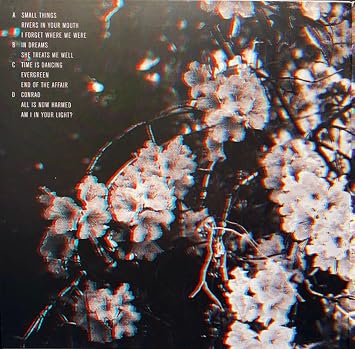 BEN HOWARD - I FORGET WHERE WE WERE - VINYL RECORD - Image 2