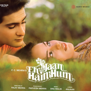 Ek Jaan Hain Hum - VINYL RECORD