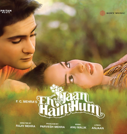 Ek Jaan Hain Hum - VINYL RECORD